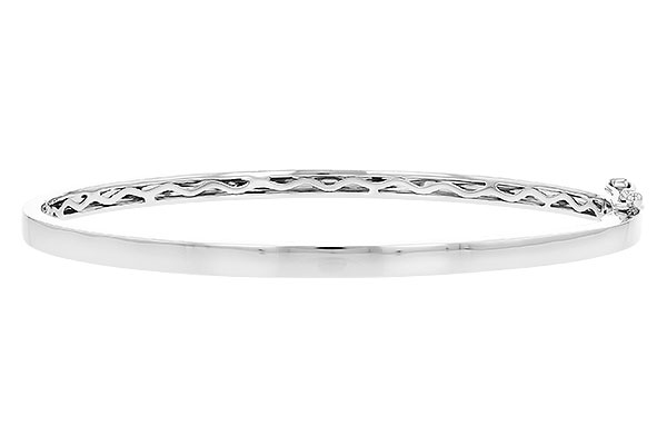 D273-08194: BANGLE (M189-40948 W/ CHANNEL FILLED IN & NO DIA)