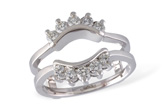 G093-00075: GUARD RG .50 TW